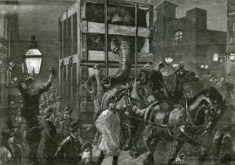 Jumbos Reise zu den Docks von William Heysham Overend