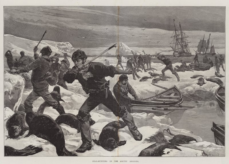 Robbenjagd in den arktischen Regionen von William Heysham Overend
