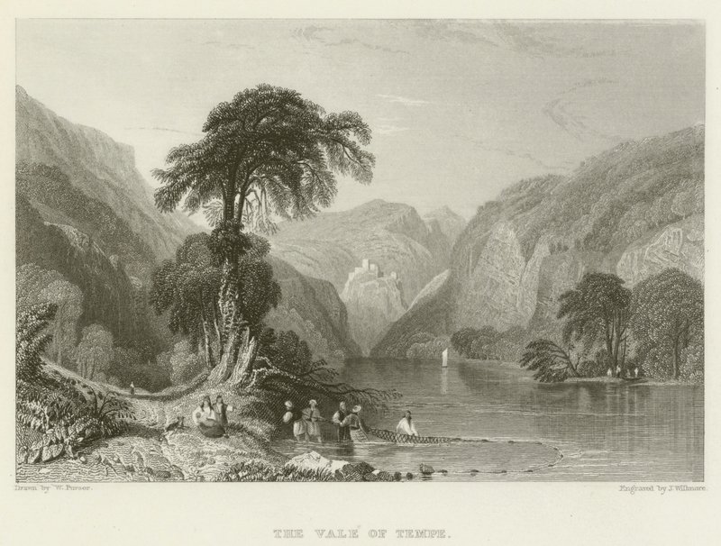 Das Tal von Tempe von William Purser