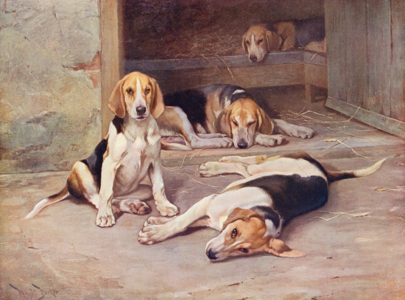 Welpen Tage von Wright Barker
