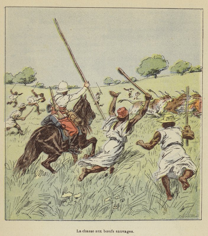Die Jagd auf wilde Ochsen von after Louis Charles Bombled
