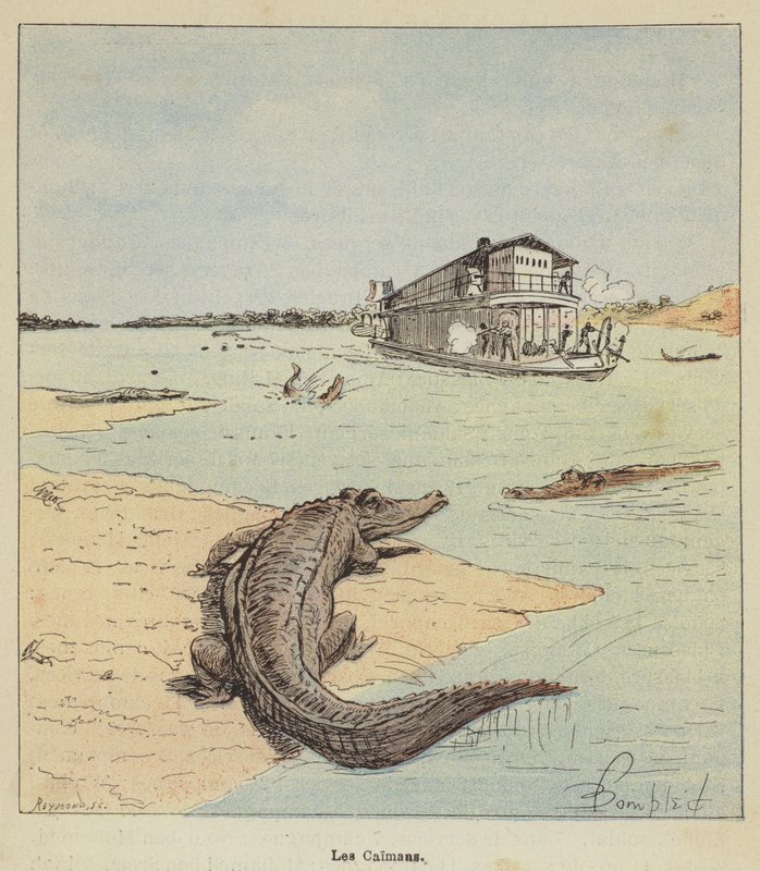 Die Kaimane von after Louis Charles Bombled