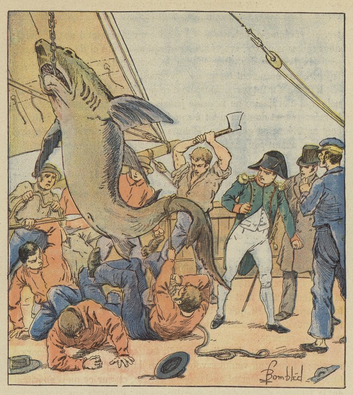 Fang eines Hais von after Louis Charles Bombled